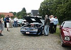 Wietze 008