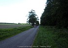 PICT0011