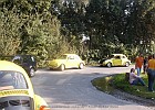 sp 037