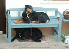 PICT0013