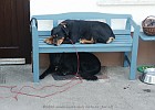 PICT0015
