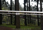 PICT0076