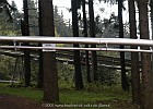 PICT0077