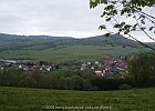 PICT0084