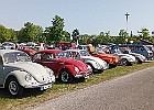 Bernd 030