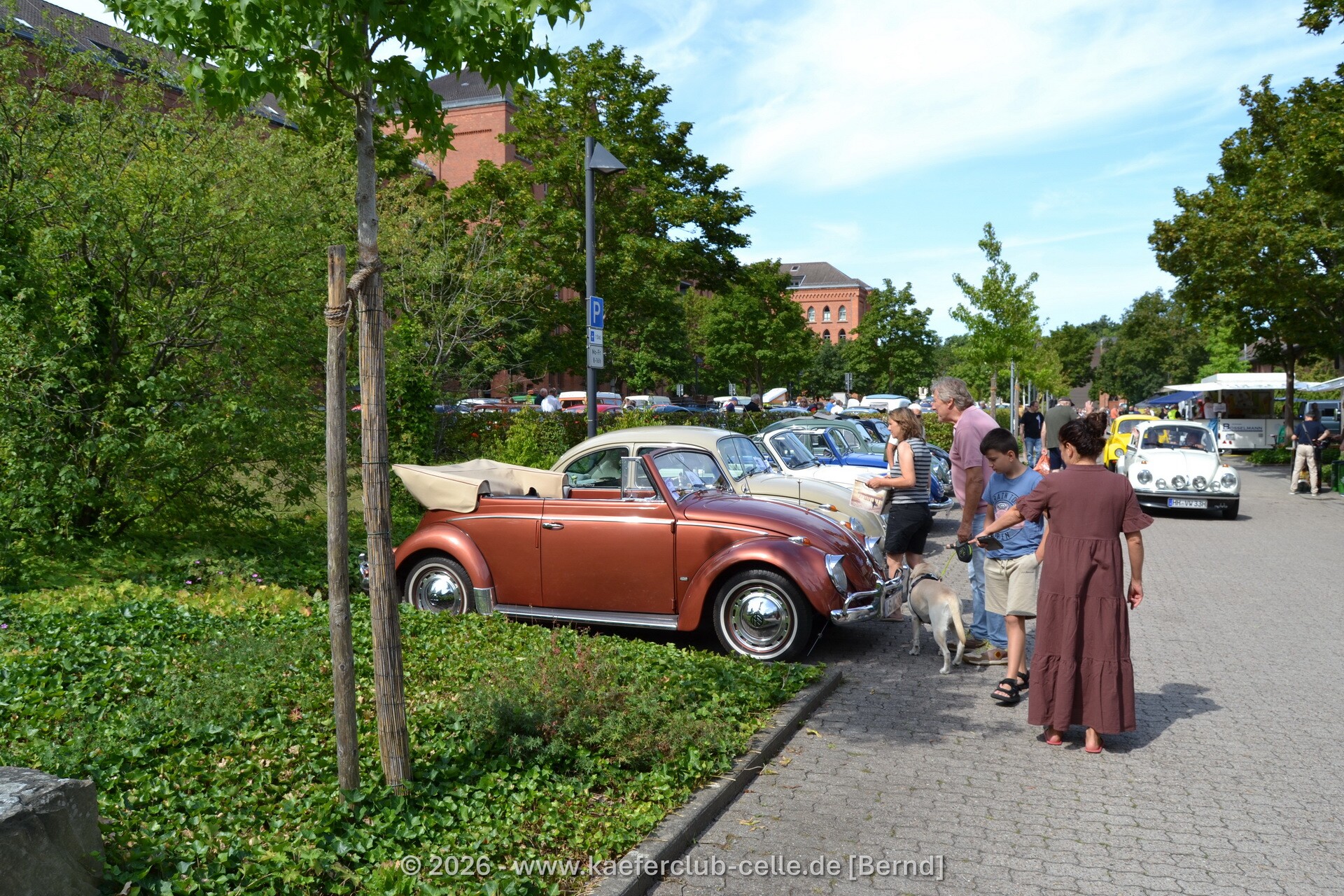 DSC_1169