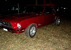 bad-dob-gn080